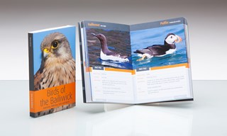 Jill Vaudin Publishing